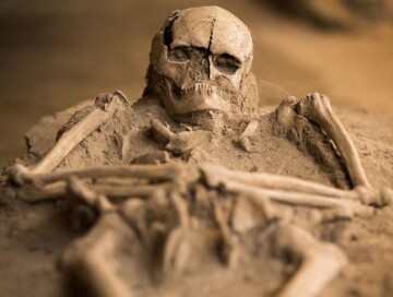 В Габалинском районе обнаружен скелет мужчины