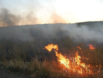 В поселке Шувелан на открытой местности вспыхнул пожар