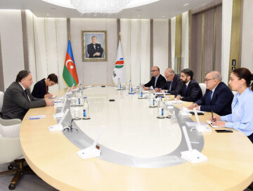Ровшан Наджаф встретился с послом Чехии в Азербайджане (Фото)