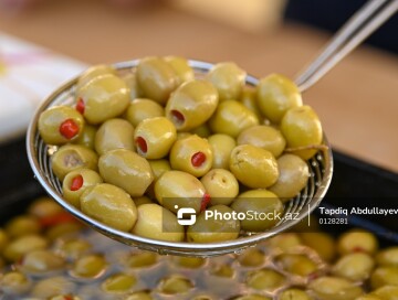 Оливковые сады Абшерона