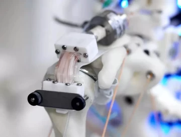 Терминатор уже здесь? – Ученые вырастили на скелете робота человеческие клетки