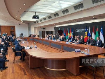 Азербайджан принял участие в заседании Экономического совета СНГ (Фото)