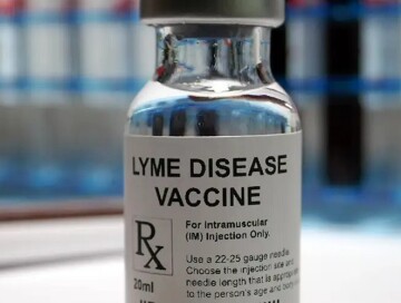 Стартует финальная фаза клинических исследований вакцины против болезни Лайма