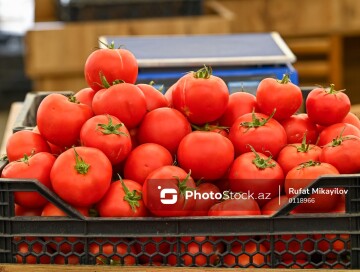 Развивая ненефтяную экономику