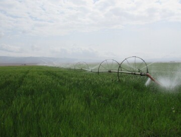 В Азербайджане впервые испытают новый российский агрохимикат