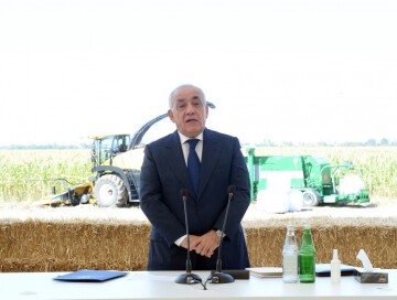 Али Асадов провел в Агсу совещание по вопросу производства пшеницы (Фото)