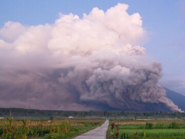 Власти Индонезии начали эвакуацию части жителей Явы из-за извержения вулкана Семеру
