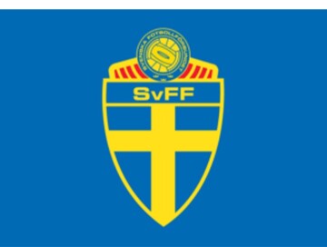 Федерация футбола Швеции: Мы не допустим никаких провокаций в игре с Азербайджаном