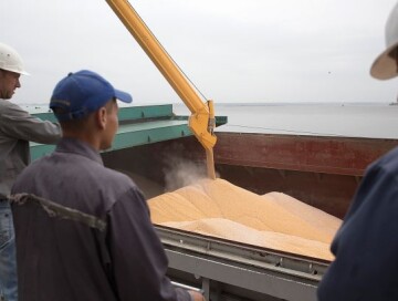 ЕС призвал Россию возобновить свое участие в зерновой сделке