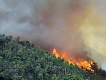 Пожары в Шабране и Исмаиллы потушены