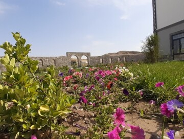 Превратившееся в цветник село Агалы Зангиланского района (Фото)
