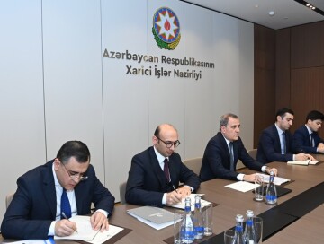 Глава МИД: «Резолюции парламента Франции наносят удар по азербайджано-французским отношениям»