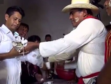 Мексиканский мэр женился на самке крокодила (Видео)
