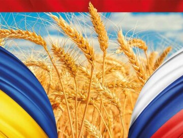 Россия и Украина договорились по зерну