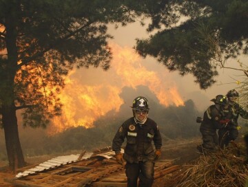 В Чили из-за лесных пожаров погибли 22 человека