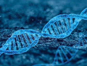 Найден участок ДНК, ответственный за преждевременное старение