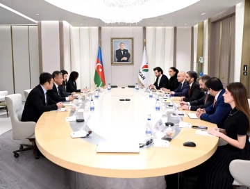SOCAR и китайская компания рассматривают создание совместных предприятий