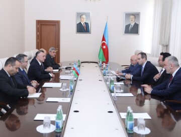 Азербайджан и Швейцария расширяют сотрудничество в области здравоохранения (Фото)