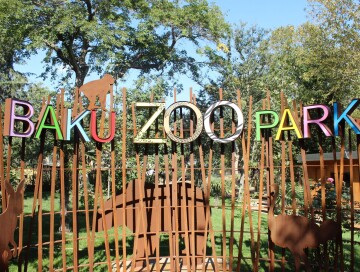 В Бакинском зоопарке 1 июня организуют праздник для юных посетителей
