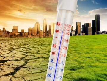 Давайте вместе спасем планету!