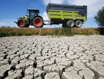 Ученые предупредили о катастрофической засухе в Европе