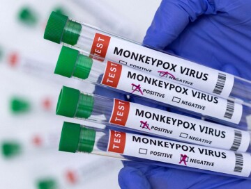 США объявили оспу обезьян чрезвычайной ситуацией в здравоохранении