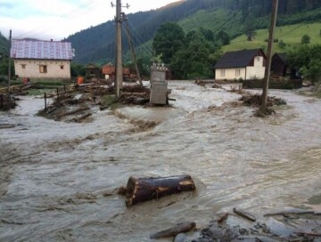 В результате проливных дождей в Дашкесане нанесен ущерб хозяйствам